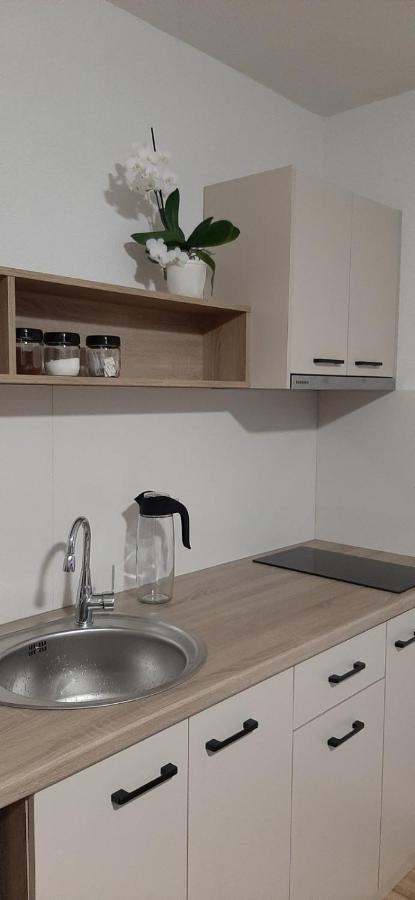 Snegar Apartments 오흐리드 외부 사진