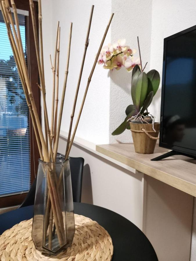 Snegar Apartments 오흐리드 외부 사진